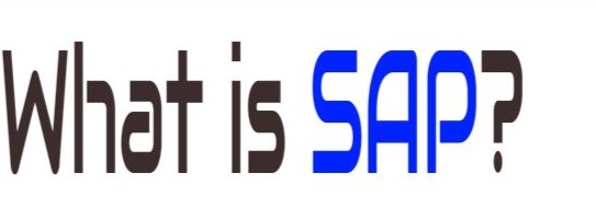 SAP Definition