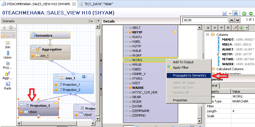 SAP HANA VARIABLES IN GRAPHICAL VIEW