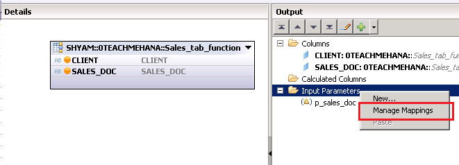 SAP HANA Table function